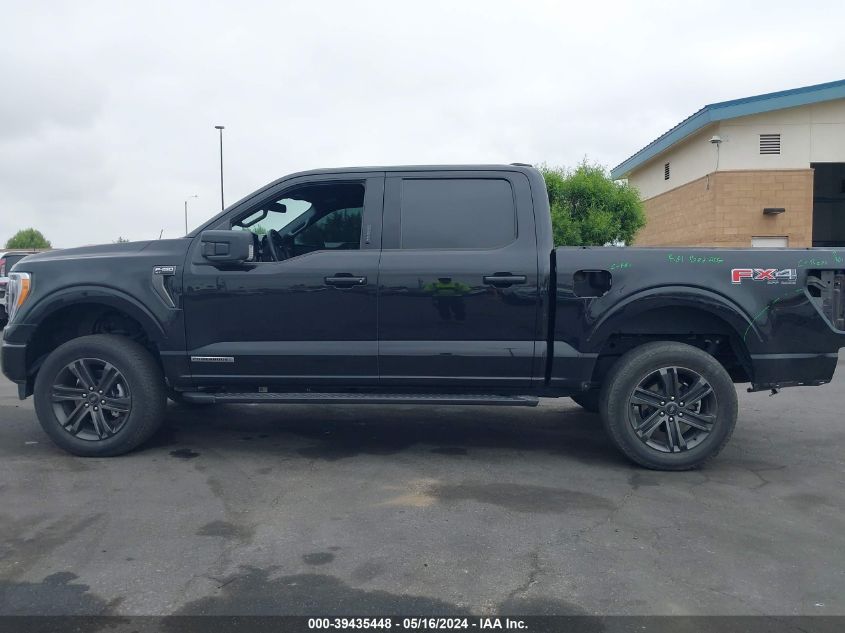 2021 FORD F-150 XLT - 1FTFW1ED6MFC07165