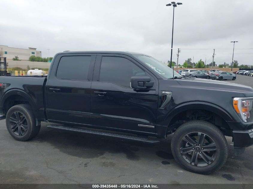 2021 FORD F-150 XLT - 1FTFW1ED6MFC07165