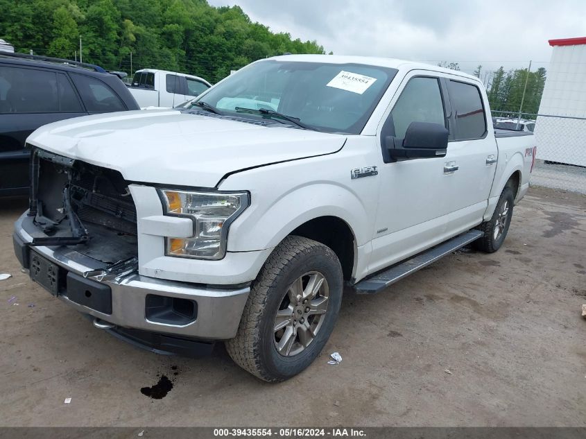 2016 Ford F-150 Xlt VIN: 1FTEW1EG1GFA76253 Lot: 39435554