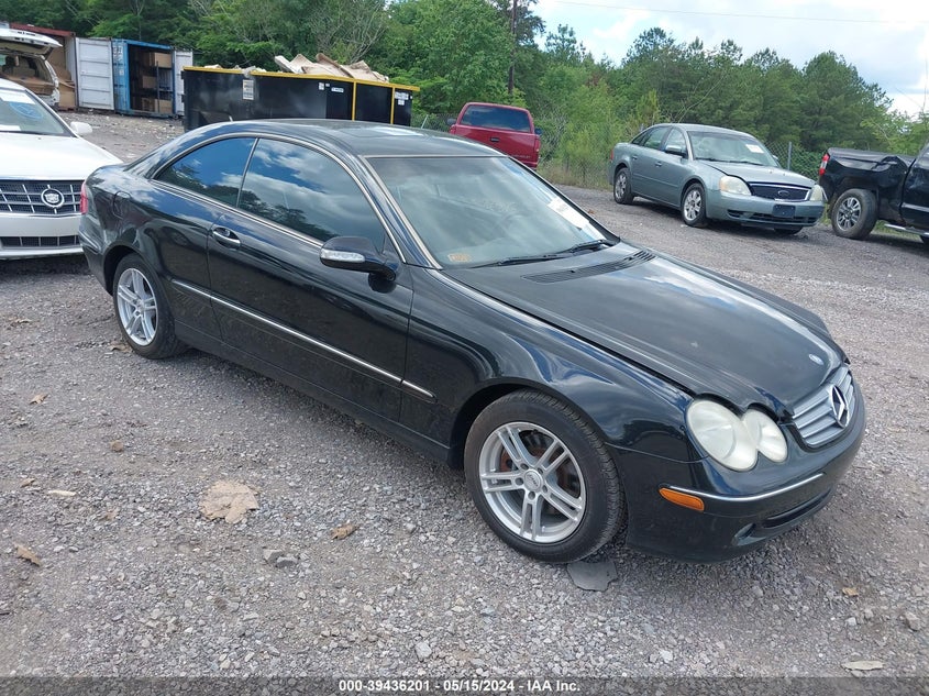 2004 Mercedes-Benz Clk 320 VIN: WDBTJ65J54F110252 Lot: 39436201