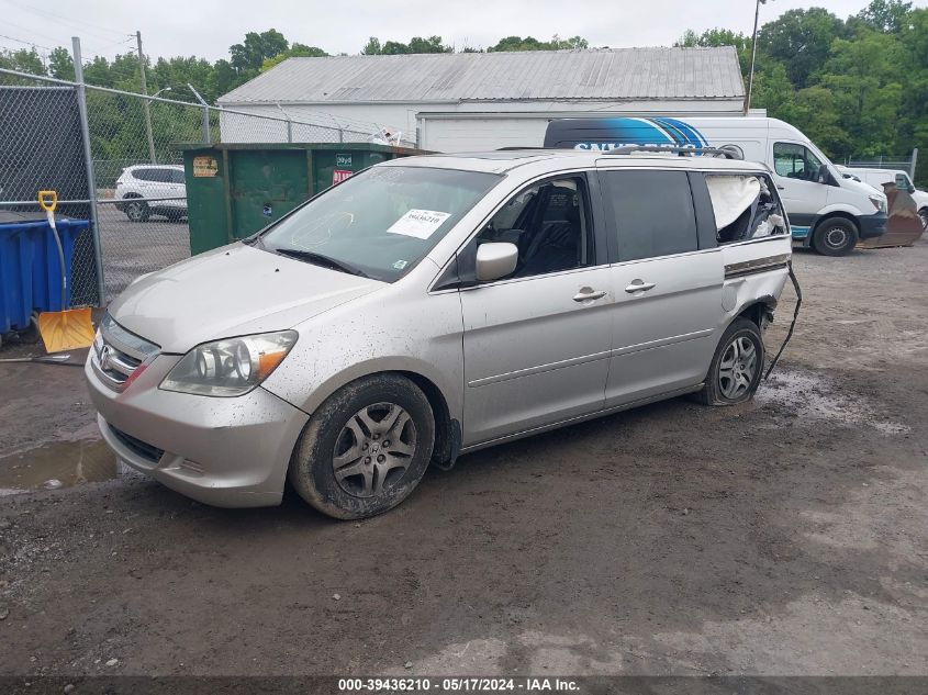 2007 Honda Odyssey Ex-L VIN: 5FNRL38707B410312 Lot: 40386704