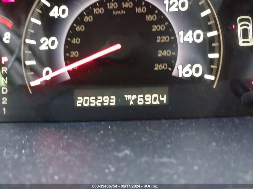 2007 Honda Odyssey Ex-L VIN: 5FNRL38787B051503 Lot: 39436754