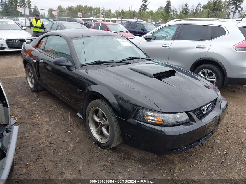 2003 Ford Mustang Gt VIN: 1FAFP42X43F323899 Lot: 39436804