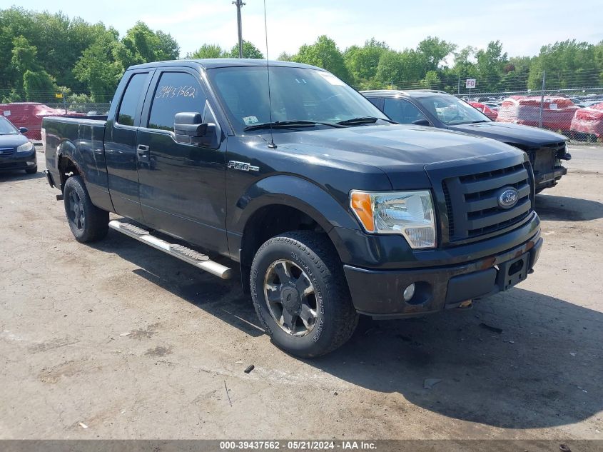 2010 Ford F-150 Stx/Xl/Xlt VIN: 1FTEX1E84AFB68079 Lot: 39437562