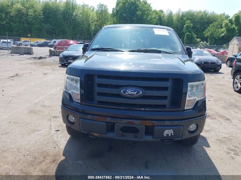 2010 Ford F-150 Stx/Xl/Xlt VIN: 1FTEX1E84AFB68079 Lot: 39437562