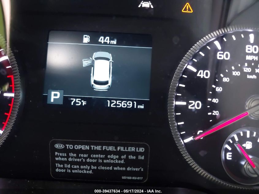 2020 Kia Telluride Ex VIN: 5XYP3DHC2LG010815 Lot: 39437634