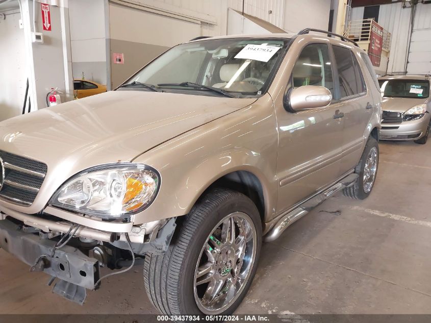 2002 Mercedes-Benz Ml 320 VIN: 4JGAB54E72A303870 Lot: 39437934