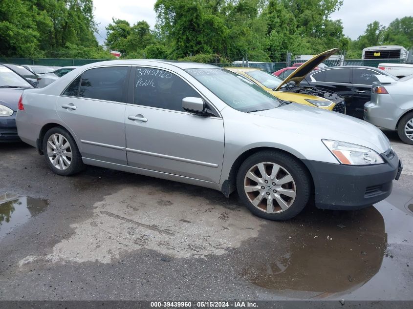 2007 Honda Accord 3.0 Ex VIN: 1HGCM66517A028984 Lot: 39439960