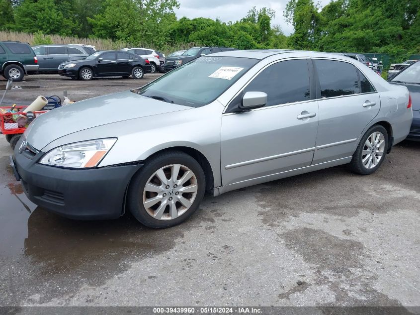 2007 Honda Accord 3.0 Ex VIN: 1HGCM66517A028984 Lot: 39439960