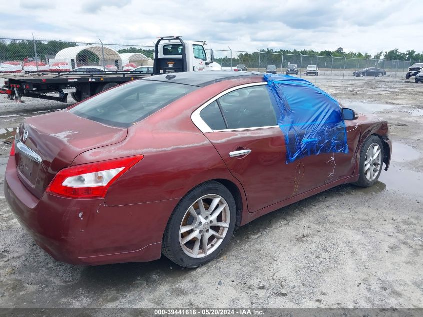 2009 Nissan Maxima 3.5 Sv VIN: 1N4AA51E69C833800 Lot: 39441616