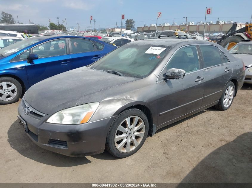 2007 Honda Accord 3.0 Ex VIN: 1HGCM66557A026445 Lot: 39441902