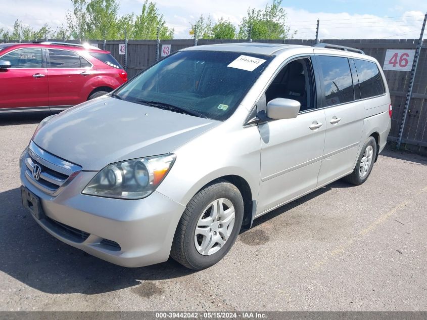 2006 Honda Odyssey Ex-L VIN: 5FNRL38626B450039 Lot: 39442042