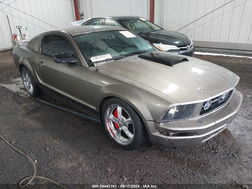 2005 Ford Mustang VIN: 1ZVFT80N255140005 Lot: 39442181