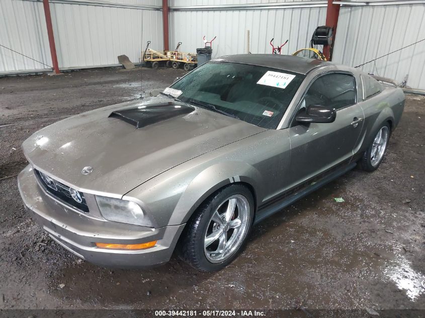 2005 Ford Mustang VIN: 1ZVFT80N255140005 Lot: 39442181