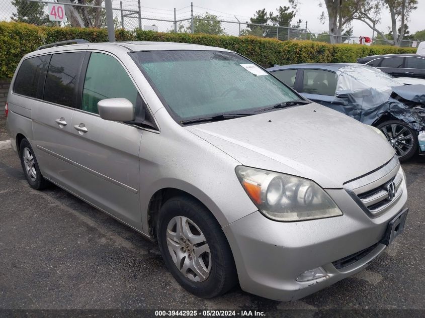 2007 Honda Odyssey Ex-L VIN: 5FNRL386X7B438514 Lot: 39442925