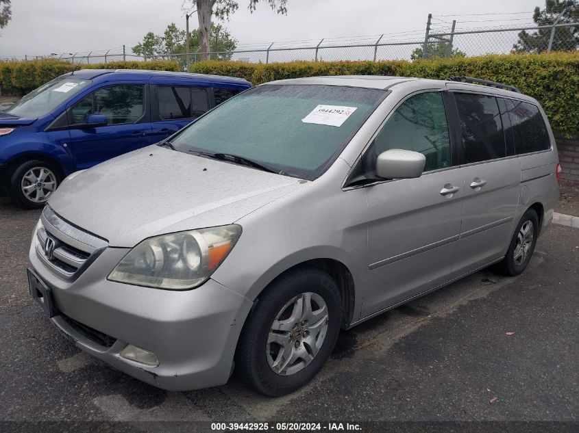 2007 Honda Odyssey Ex-L VIN: 5FNRL386X7B438514 Lot: 39442925