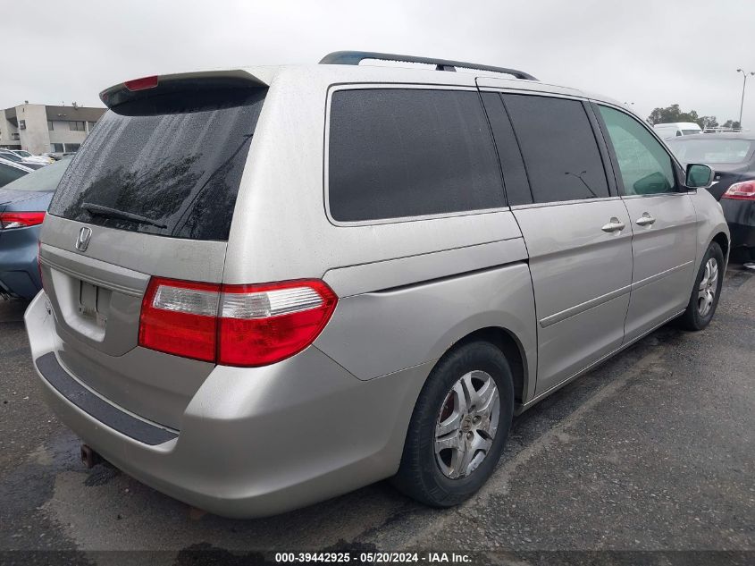 2007 Honda Odyssey Ex-L VIN: 5FNRL386X7B438514 Lot: 39442925