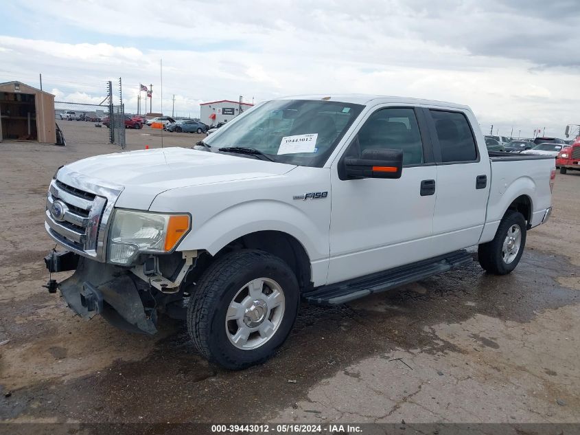 2011 Ford F-150 Xlt VIN: 1FTEW1CM5BKD28207 Lot: 39443012