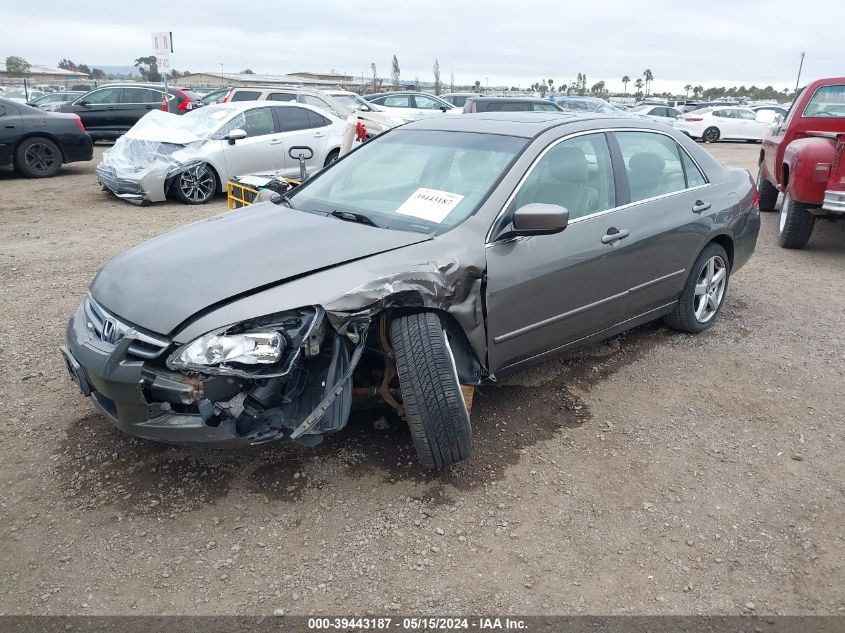 2006 Honda Accord 3.0 Ex VIN: 1HGCM66546A003155 Lot: 39443187