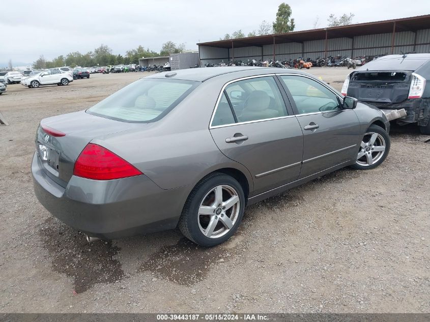 2006 Honda Accord 3.0 Ex VIN: 1HGCM66546A003155 Lot: 39443187