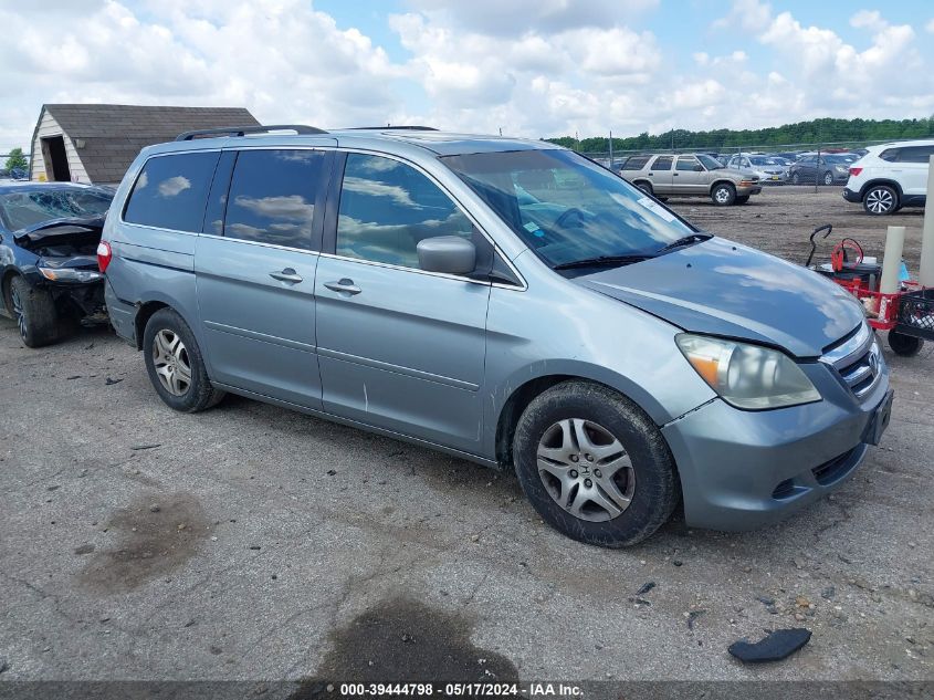 2007 Honda Odyssey Ex-L VIN: 5FNRL38767B048650 Lot: 39444798