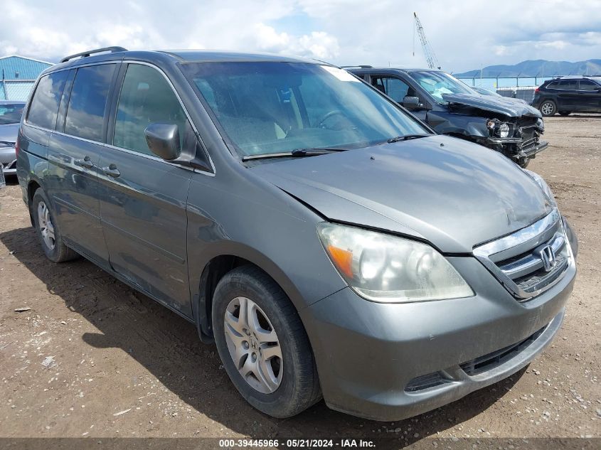 2007 Honda Odyssey Ex VIN: 5FNRL38417B431045 Lot: 39445966