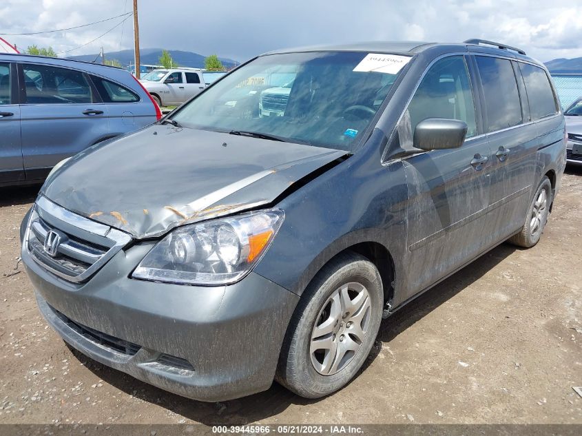 2007 Honda Odyssey Ex VIN: 5FNRL38417B431045 Lot: 39445966