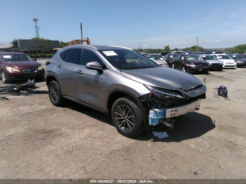 2T2GGCEZ8PC021998 2023 LEXUS NX - Image 1