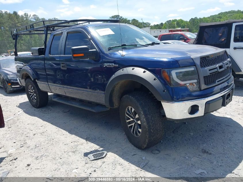 2009 Ford F-150 Xlt VIN: 1FTRX148X9FA58409 Lot: 39446593