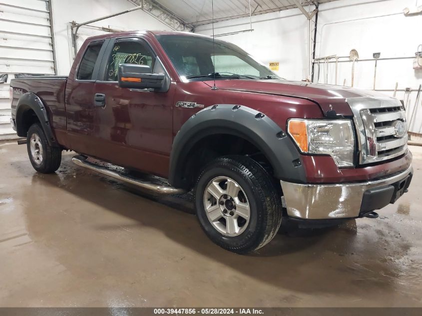 2009 Ford F-150 Stx/Xl/Xlt VIN: 1FTRX14869KC53365 Lot: 39447856