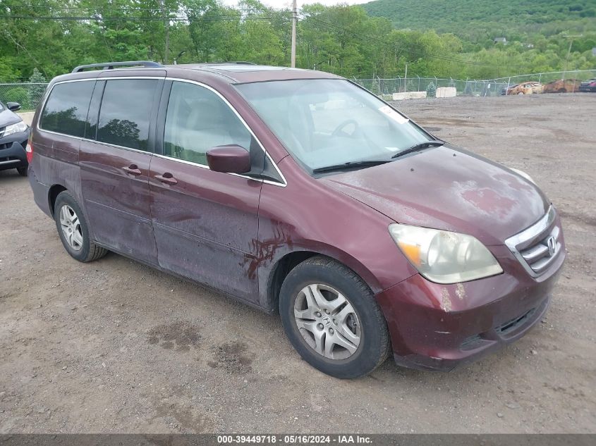 2007 Honda Odyssey Ex-L VIN: 5FNRL387X7B460991 Lot: 39449718