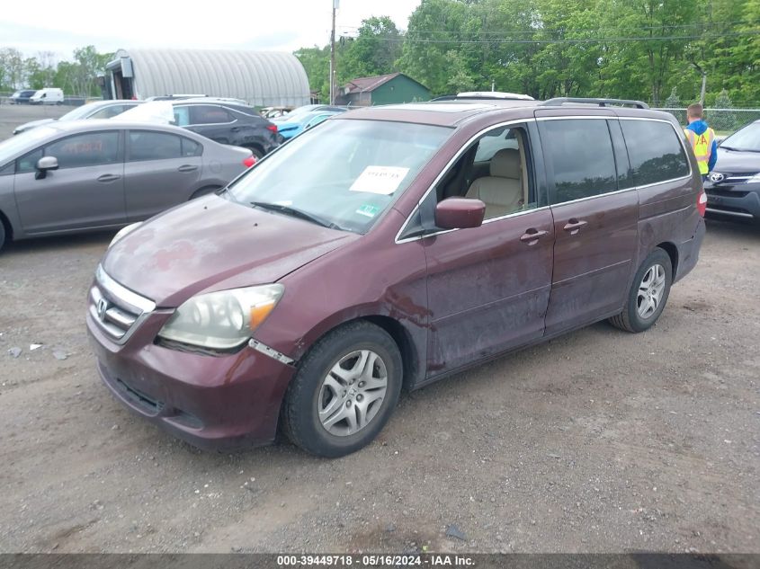 2007 Honda Odyssey Ex-L VIN: 5FNRL387X7B460991 Lot: 39449718