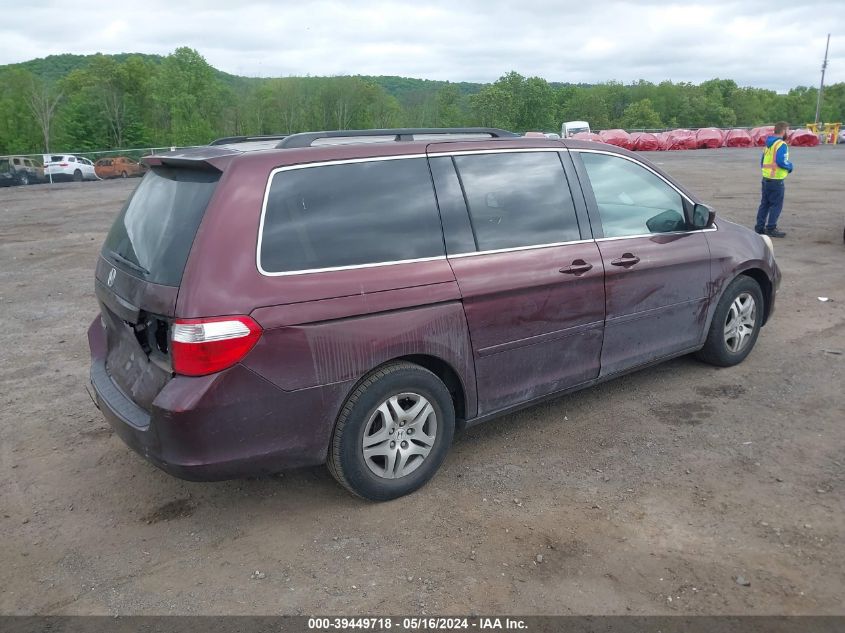 2007 Honda Odyssey Ex-L VIN: 5FNRL387X7B460991 Lot: 39449718