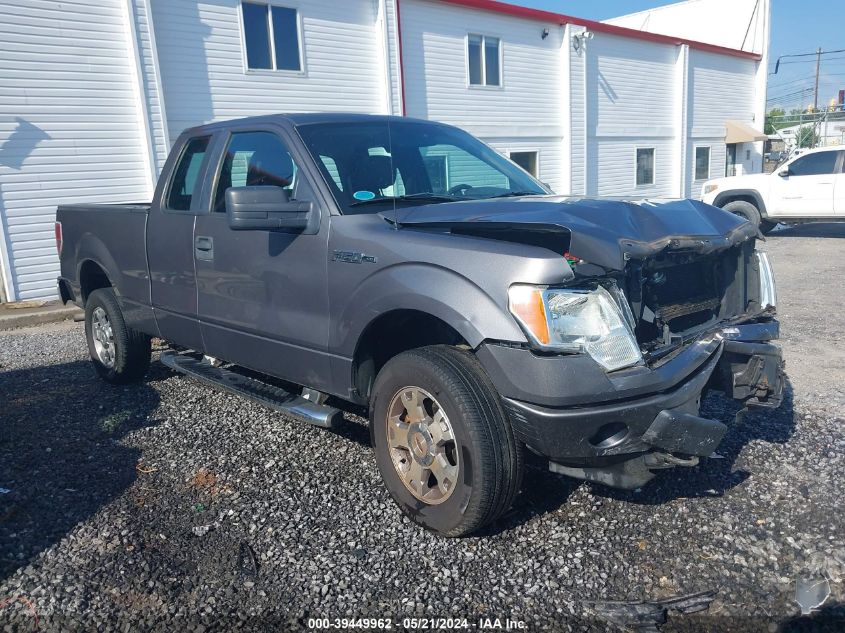 2009 Ford F-150 Stx/Xl/Xlt VIN: 1FTRX14809FA78894 Lot: 39449962