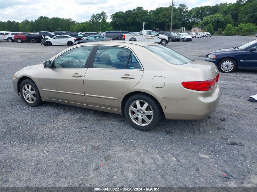 2005 Honda Accord 3.0 Ex VIN: 1HGCM66555A041346 Lot: 39450822