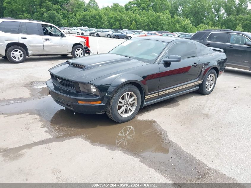 2005 Ford Mustang V6 Deluxe/V6 Premium VIN: 1ZVFT80N855211255 Lot: 39451284