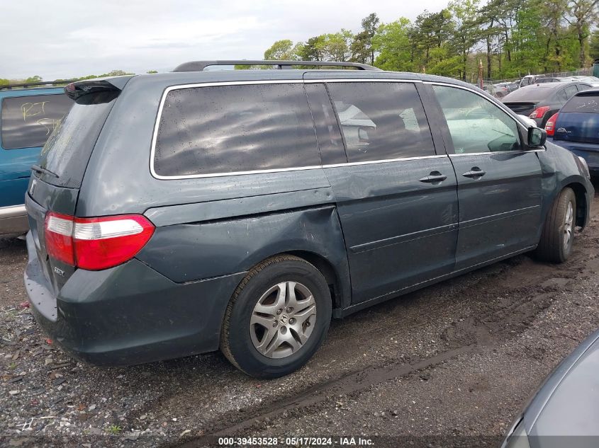 2005 Honda Odyssey Ex-L VIN: 5FNRL38775B055040 Lot: 39453528