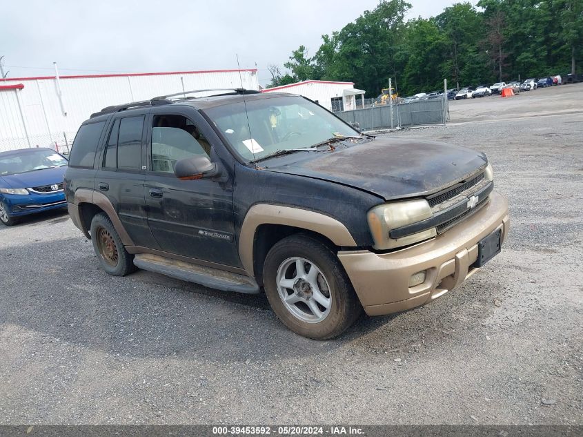 2002 Chevrolet Trailblazer VIN: 1GNDT13SX22334210 Lot: 39453592