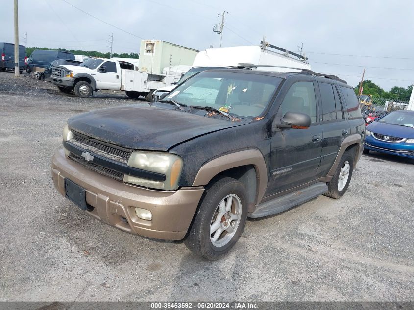 2002 Chevrolet Trailblazer VIN: 1GNDT13SX22334210 Lot: 39453592