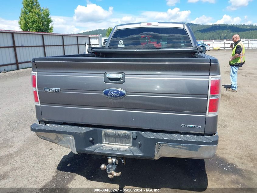 2014 FORD F-150 XLT - 1FTFX1EF2EFA93987