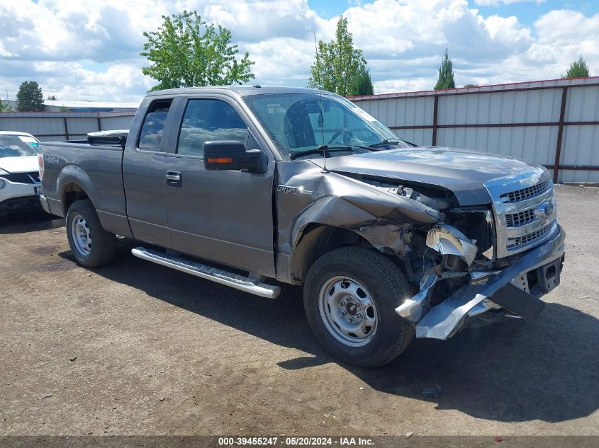 2014 FORD F-150 XLT - 1FTFX1EF2EFA93987