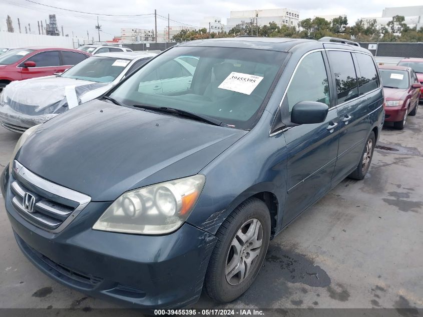 2006 Honda Odyssey Ex-L VIN: 5FNRL38716B445326 Lot: 39455395