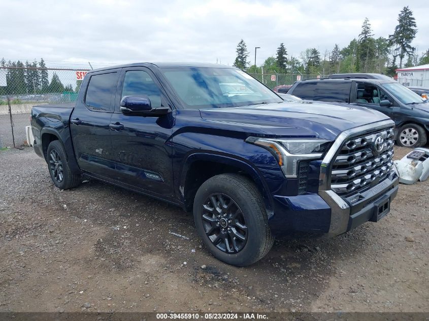 2022 Toyota Tundra Platinum VIN: 5TFNA5DB2NX053907 Lot: 39455910