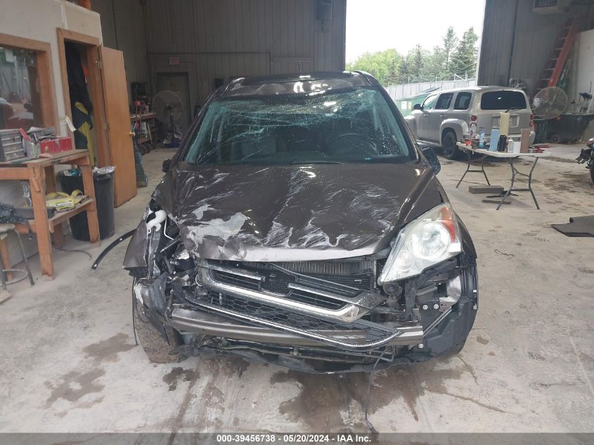 2010 Honda Cr-V Ex-L VIN: 5J6RE3H74AL016823 Lot: 39456738