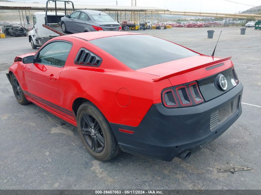 2013 FORD MUSTANG V6 - 1ZVBP8AM4D5224253