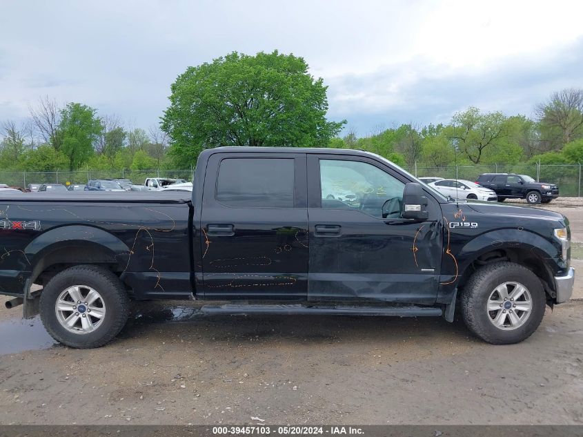 2016 FORD F-150 XLT - 1FTFW1EG0GKF36451