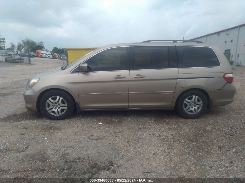 2006 Honda Odyssey Ex-L VIN: 5FNRL38716B427070 Lot: 39460033