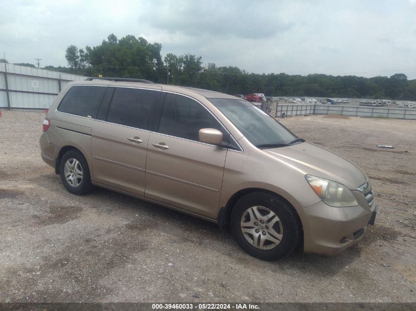 2006 Honda Odyssey Ex-L VIN: 5FNRL38716B427070 Lot: 39460033