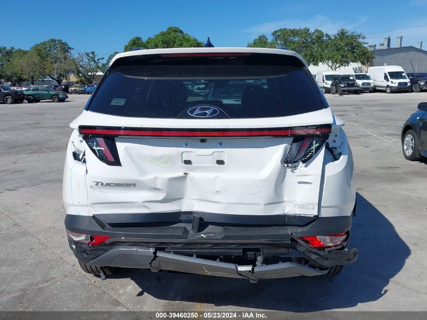 2024 Hyundai Tucson Limited VIN: 5NMJECDE2RH335397 Lot: 39460250