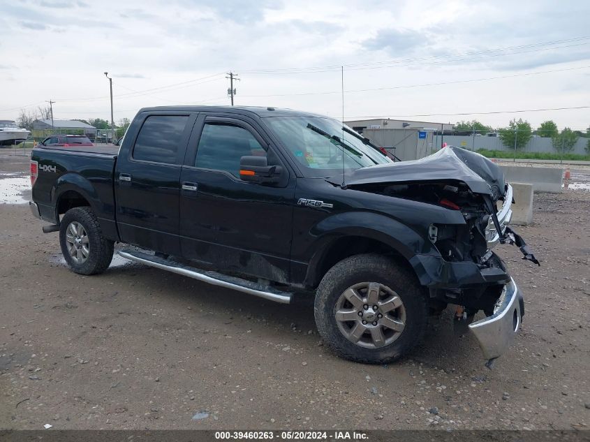 2013 Ford F-150 Xlt VIN: 1FTFW1EF6DFA22678 Lot: 39460263